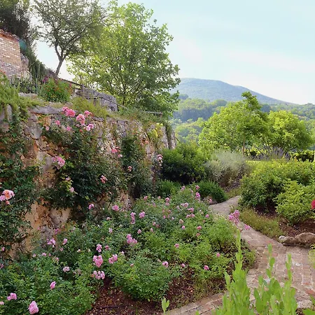 Solace - Comfort Charm